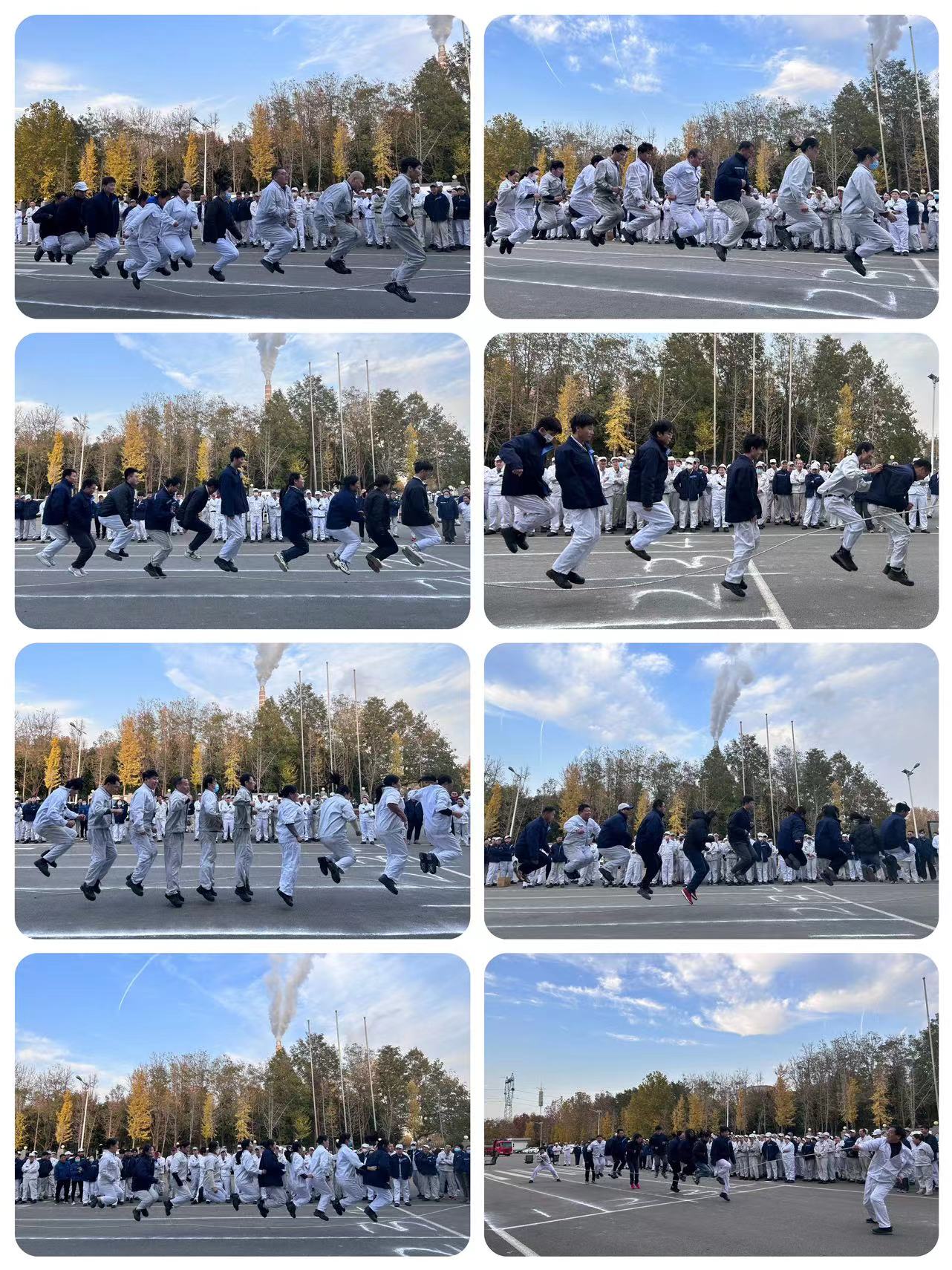 cc5b4144be64cad6e2a76b4acadeb81